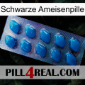 Black Ant Pill viagra1